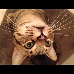 Meet your Posher, Terri